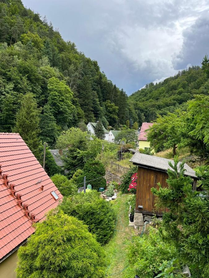 Pension Alpenrose Bad Schandau Esterno foto